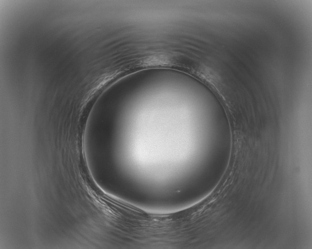 X0000052950345200507151715