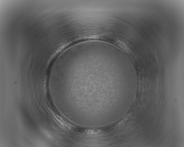 X0000052950346200507151715