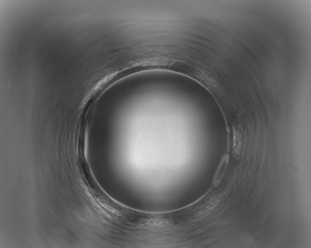 X0000052950348200507151715