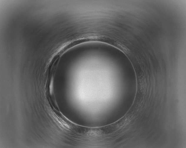 X0000052950350200507151715