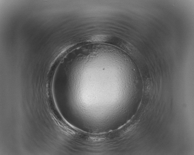 X0000052950351200507151715