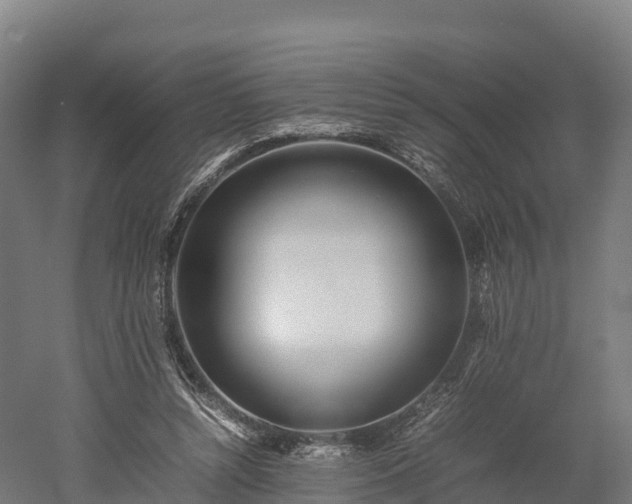 X0000052950352200507151715