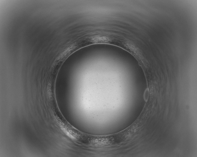 X0000052950353200507151715