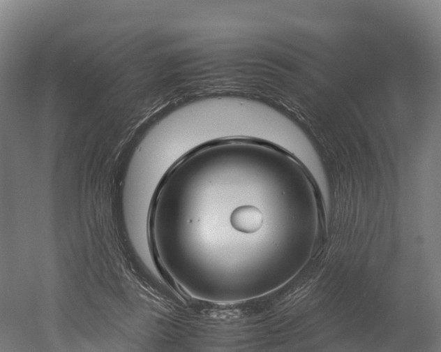 X0000052950355200507151715