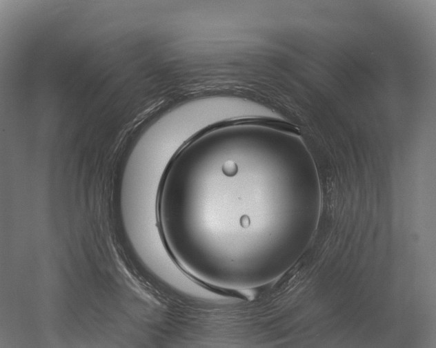 X0000052950356200507151715