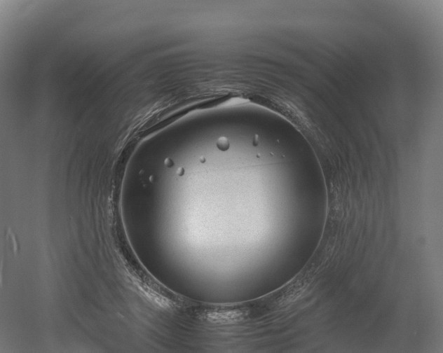 X0000052950357200507151715