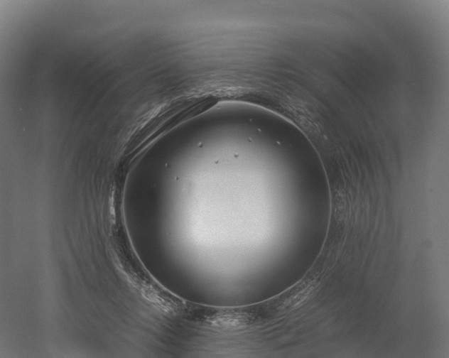 X0000052950358200507151715