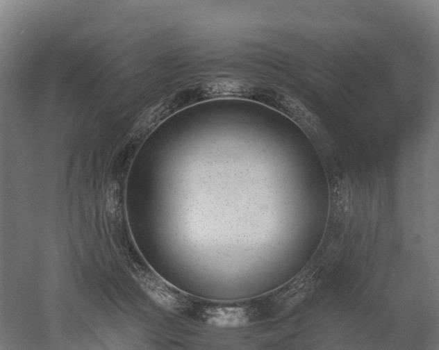 X0000052950361200507151715