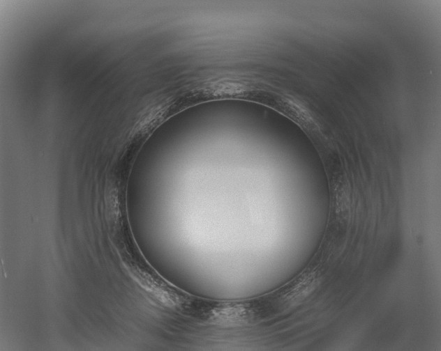 X0000052950362200507151715
