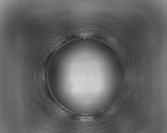 X0000052950363200507151715