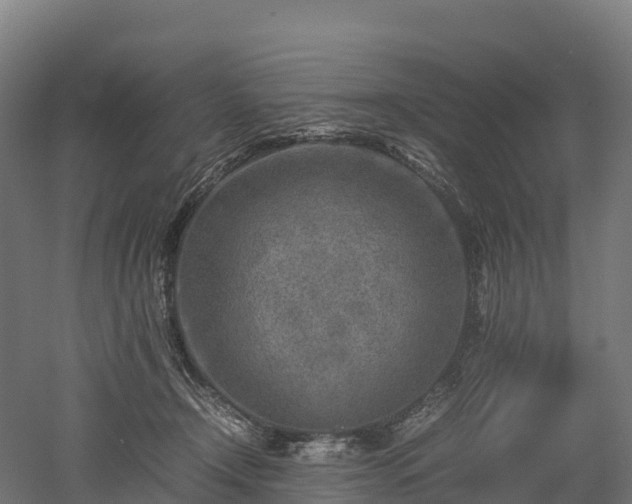 X0000052950366200507151715