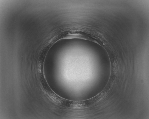 X0000052950368200507151715