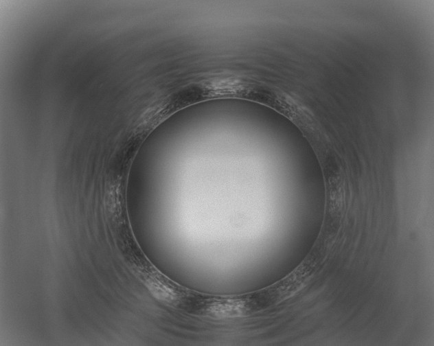 X0000052950369200507151715