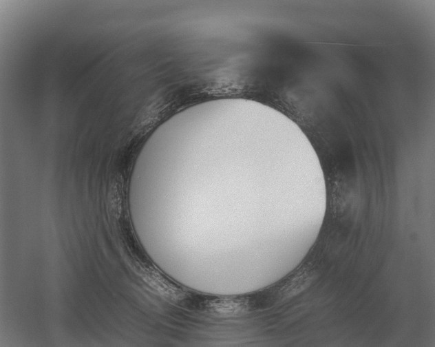 X0000052950370200507151715