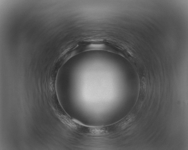 X0000052950380200507151716