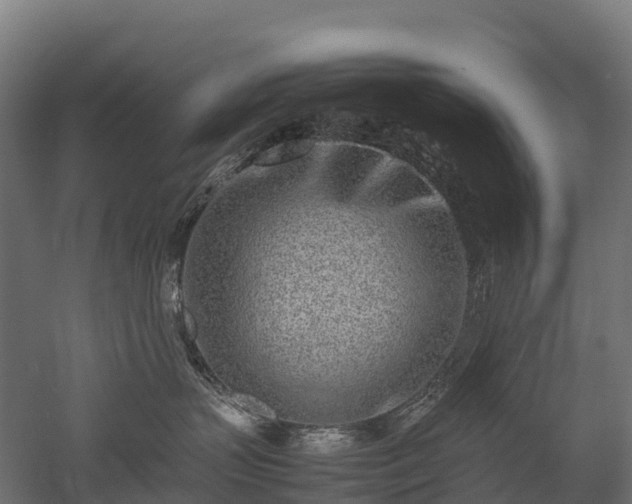X0000052950383200507151716