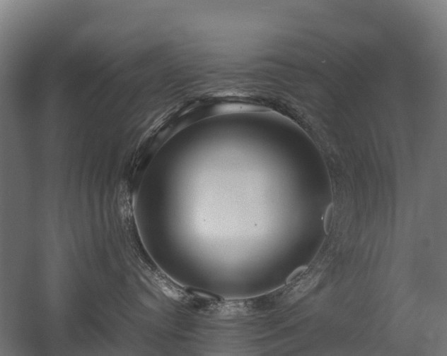 X0000052950384200507151716