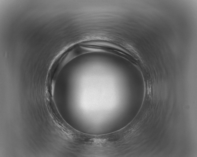 X0000052950388200507151715