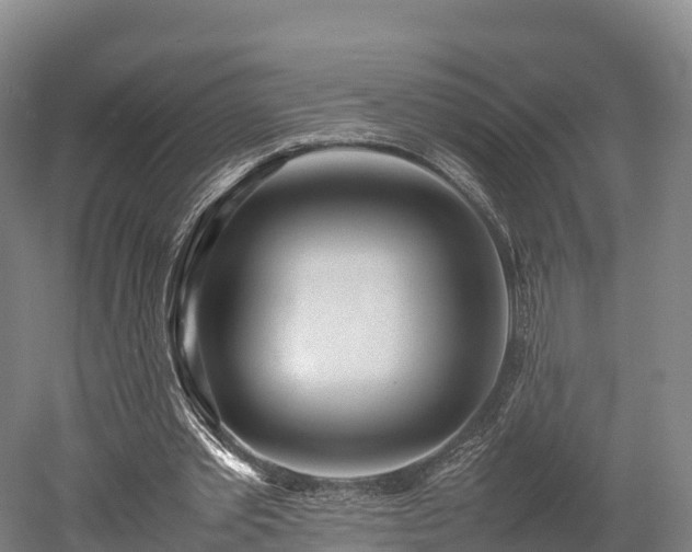 X0000052950389200507151715