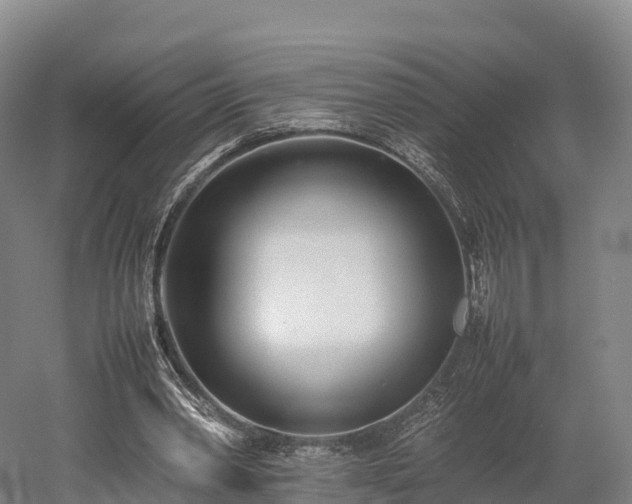 X0000052950390200507151715