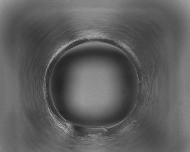 X0000052950391200507151715