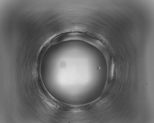 X0000052950392200507151715