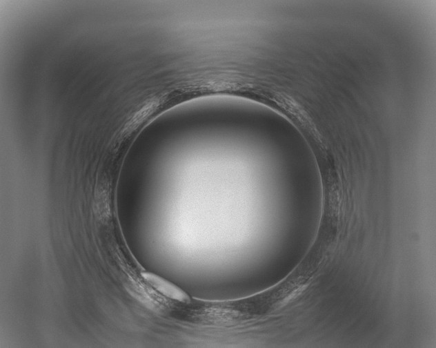 X0000052950393200507151715