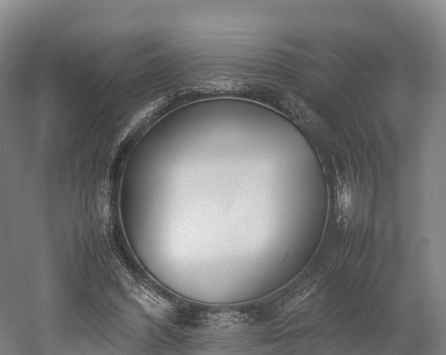 X0000052950396200507151715
