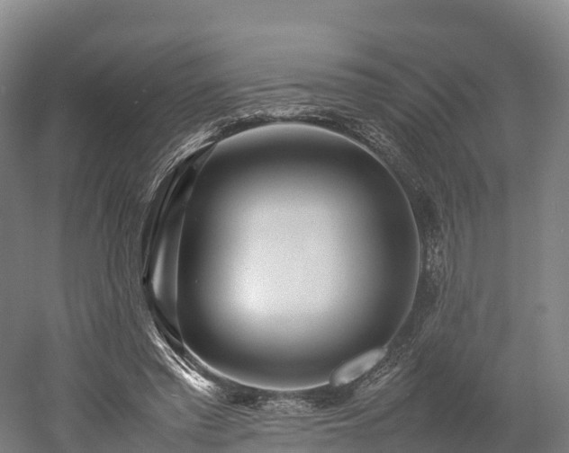 X0000052950397200507151715