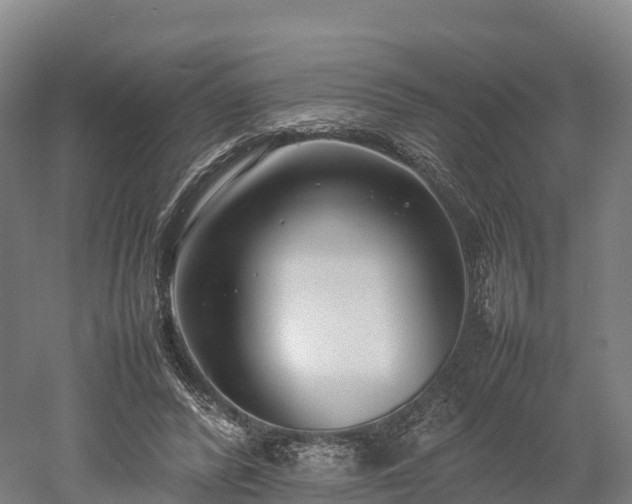 X0000052950400200507151715