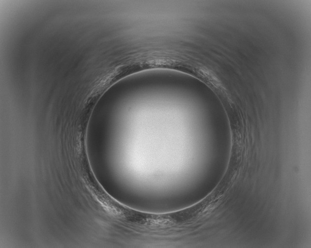 X0000052950401200507151715