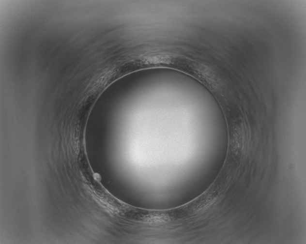 X0000052950402200507151715
