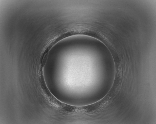 X0000052950403200507151715