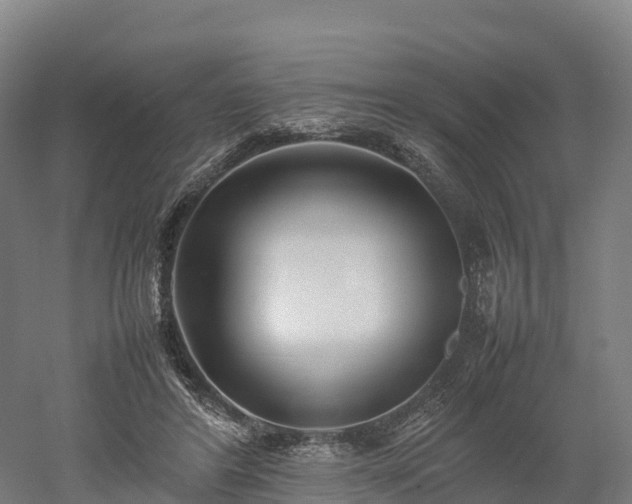 X0000052950404200507151715