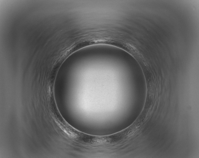 X0000052950405200507151714