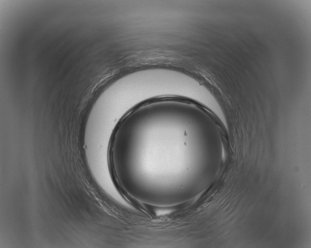 X0000052950407200507151714