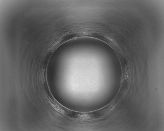 X0000052950409200507151714