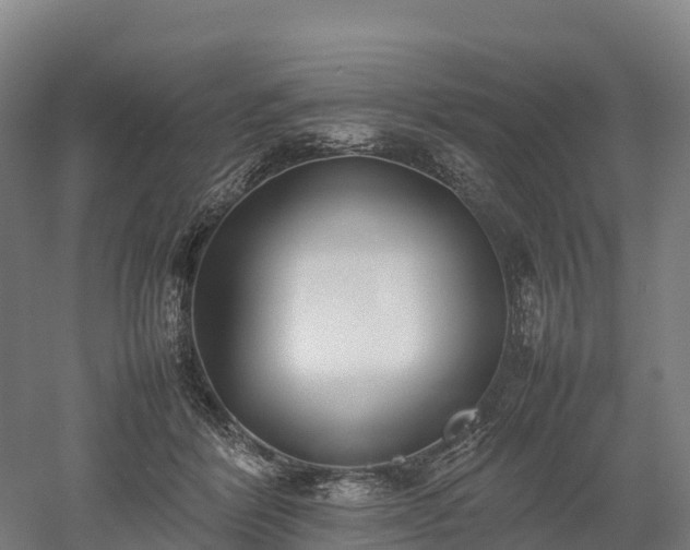 X0000052950412200507151714