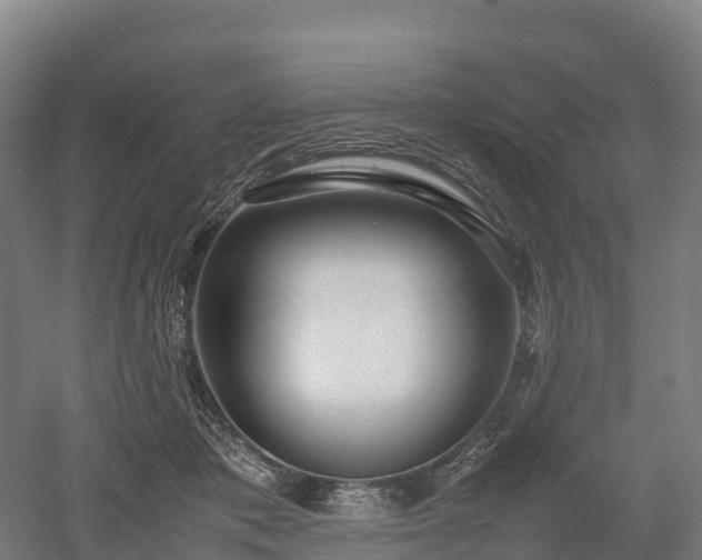 X0000052950413200507151714