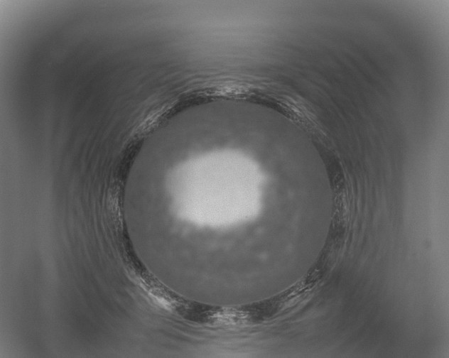 X0000052950415200507151714
