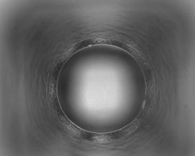 X0000052950417200507151714