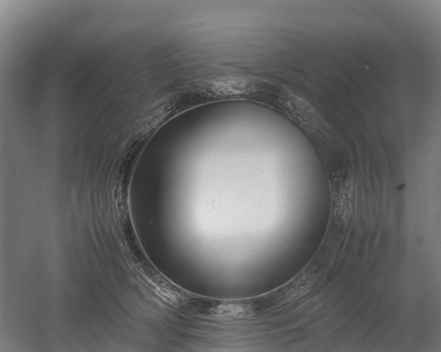 X0000052950418200507151714