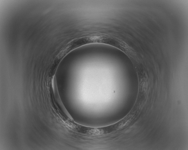 X0000052950421200507151714