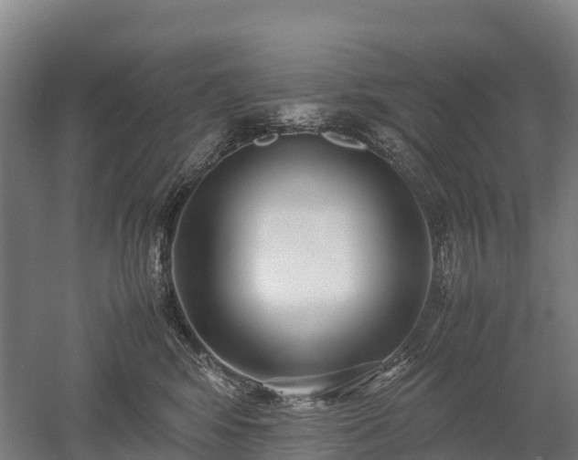 X0000052950424200507151714