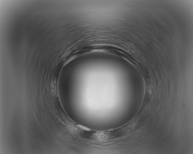 X0000052950425200507151714