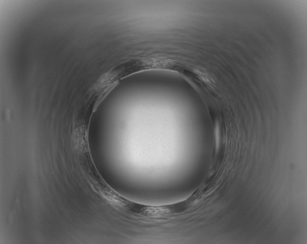 X0000052950429200507151714