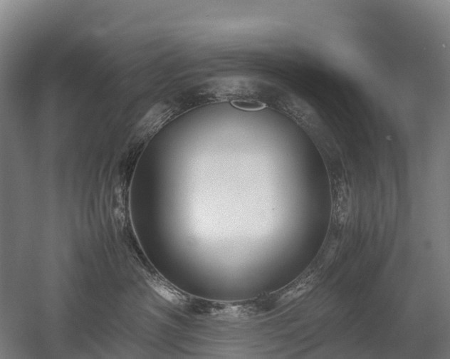 X0000052950430200507151714