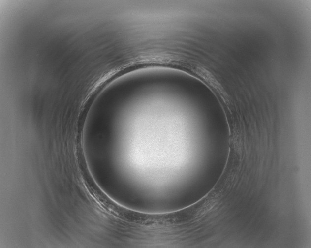 X0000052950434200507151713