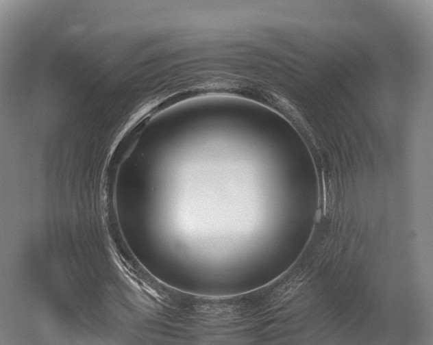 X0000052950435200507151713