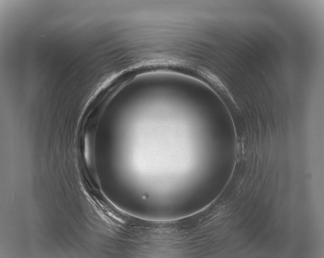 X0000052950436200507151713